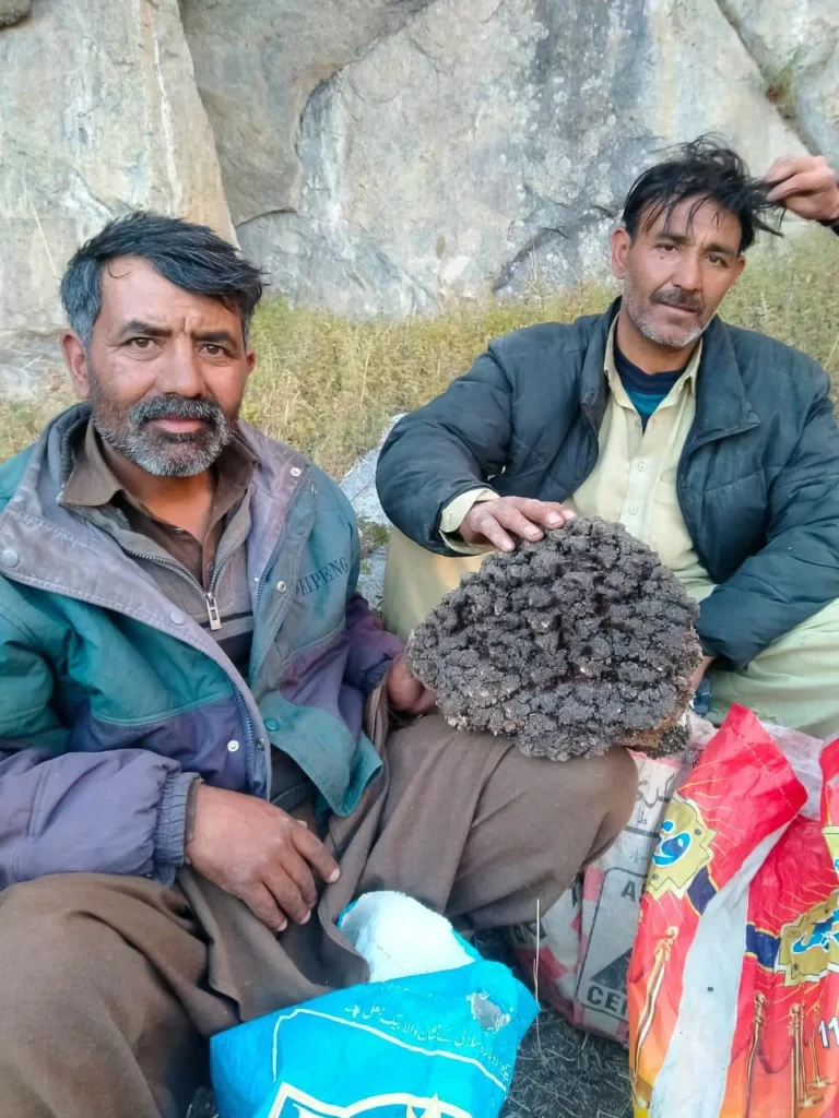 Collectors holding raw gold-grade shilajit at a high-altitude Himalayan rock face.